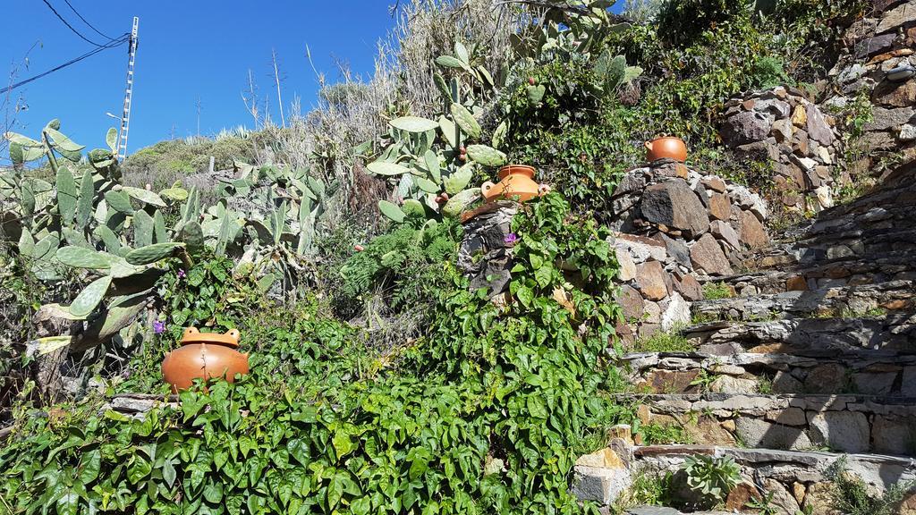 Casa Rural - Laendliches Haus, Pepita La De Las Flores Крус-де-Техеда Экстерьер фото